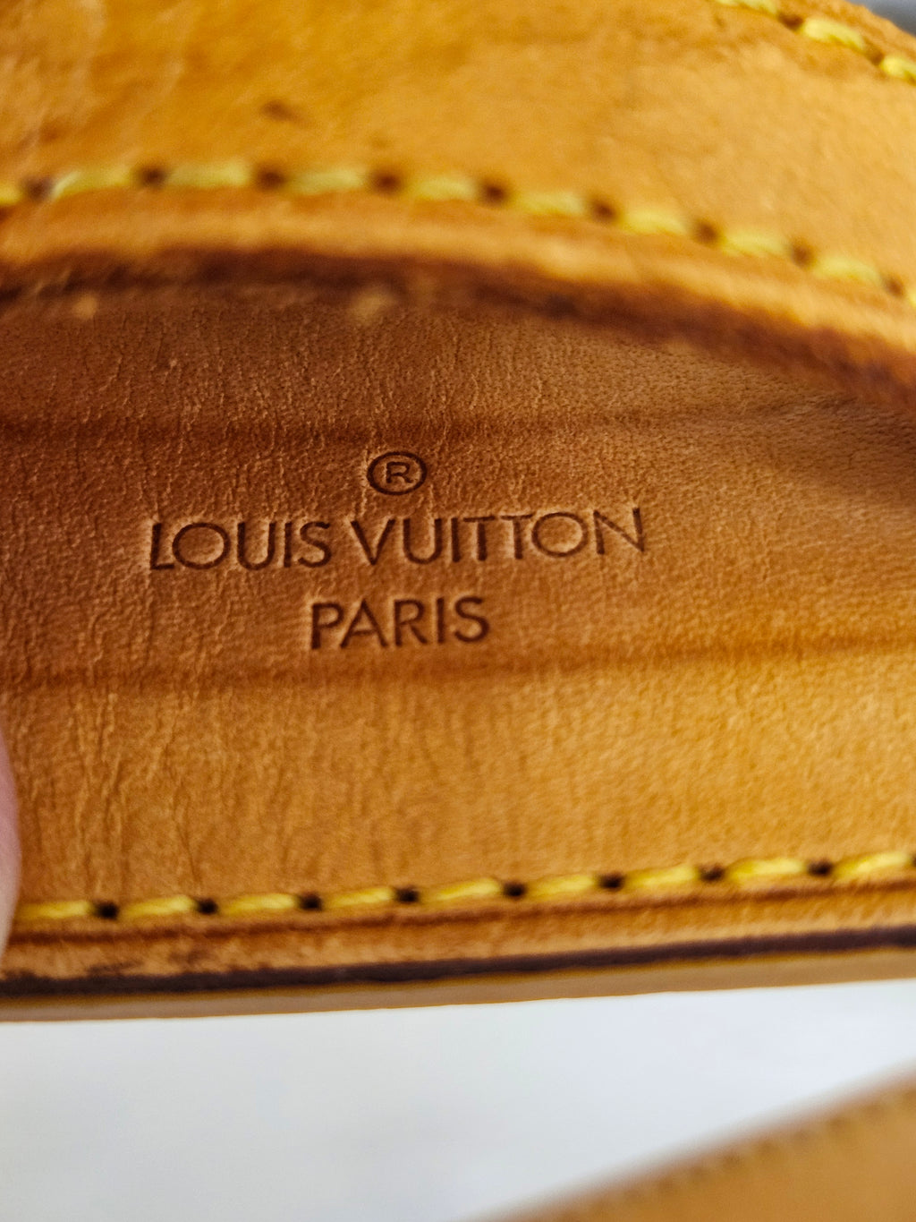 Louis Vuitton Monogram Canvas Sologne Saddle Crossbody Shoulder Bag