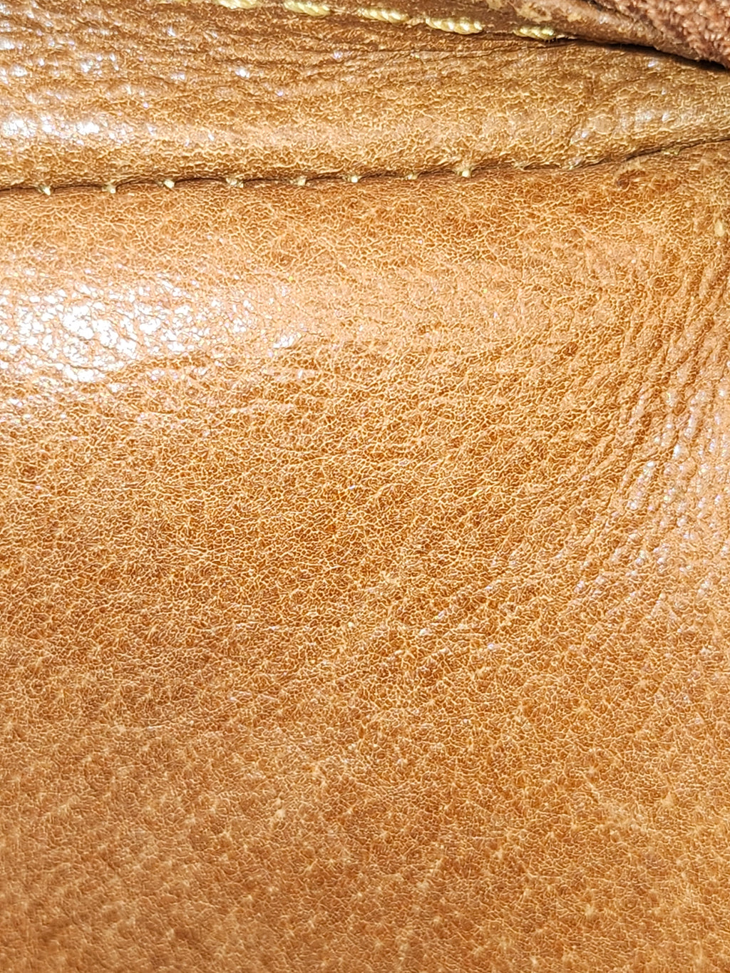 Louis Vuitton Brown Monogram Mini Amazon Bag