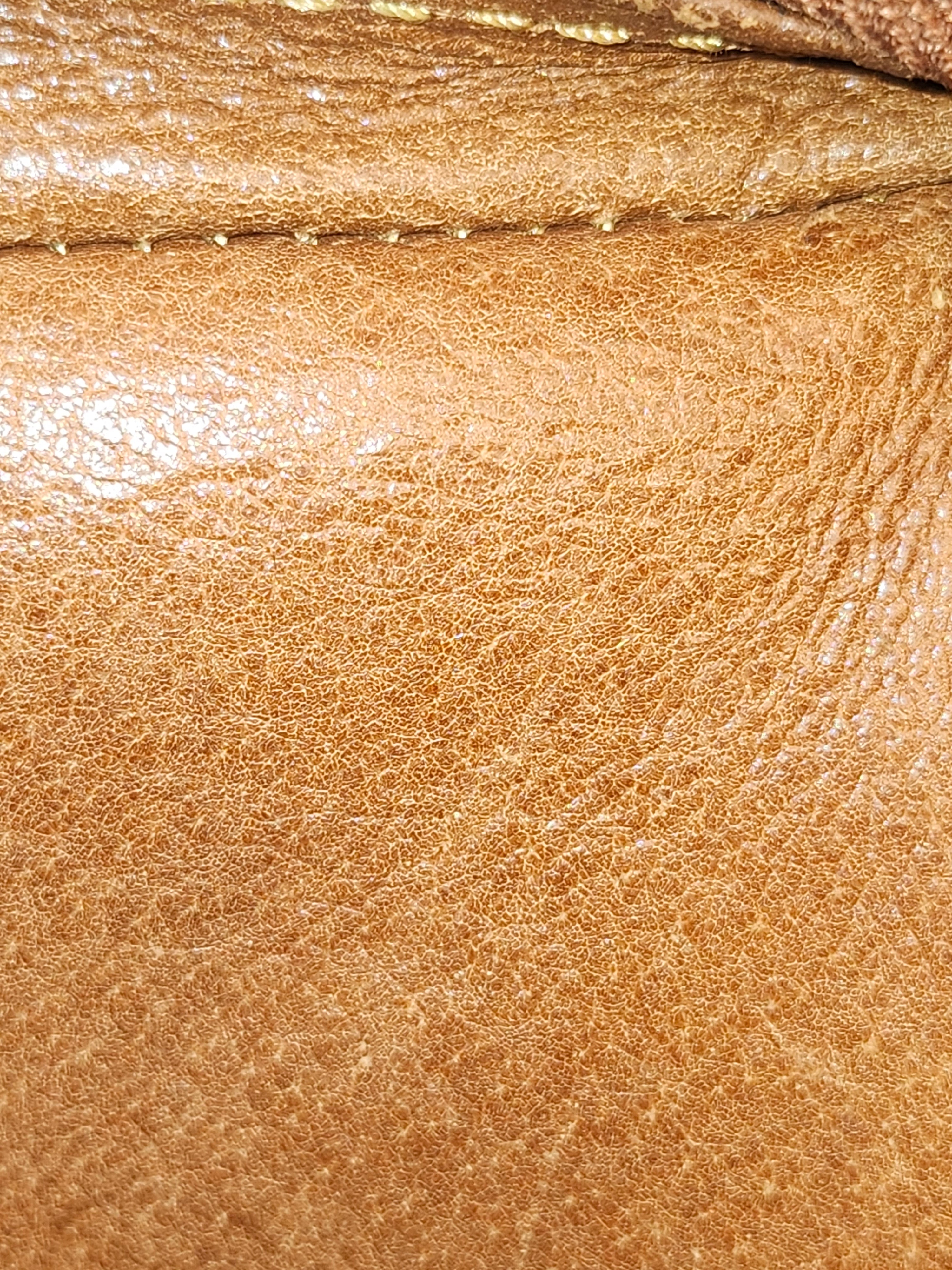 Louis Vuitton Brown Monogram Mini Amazon Bag
