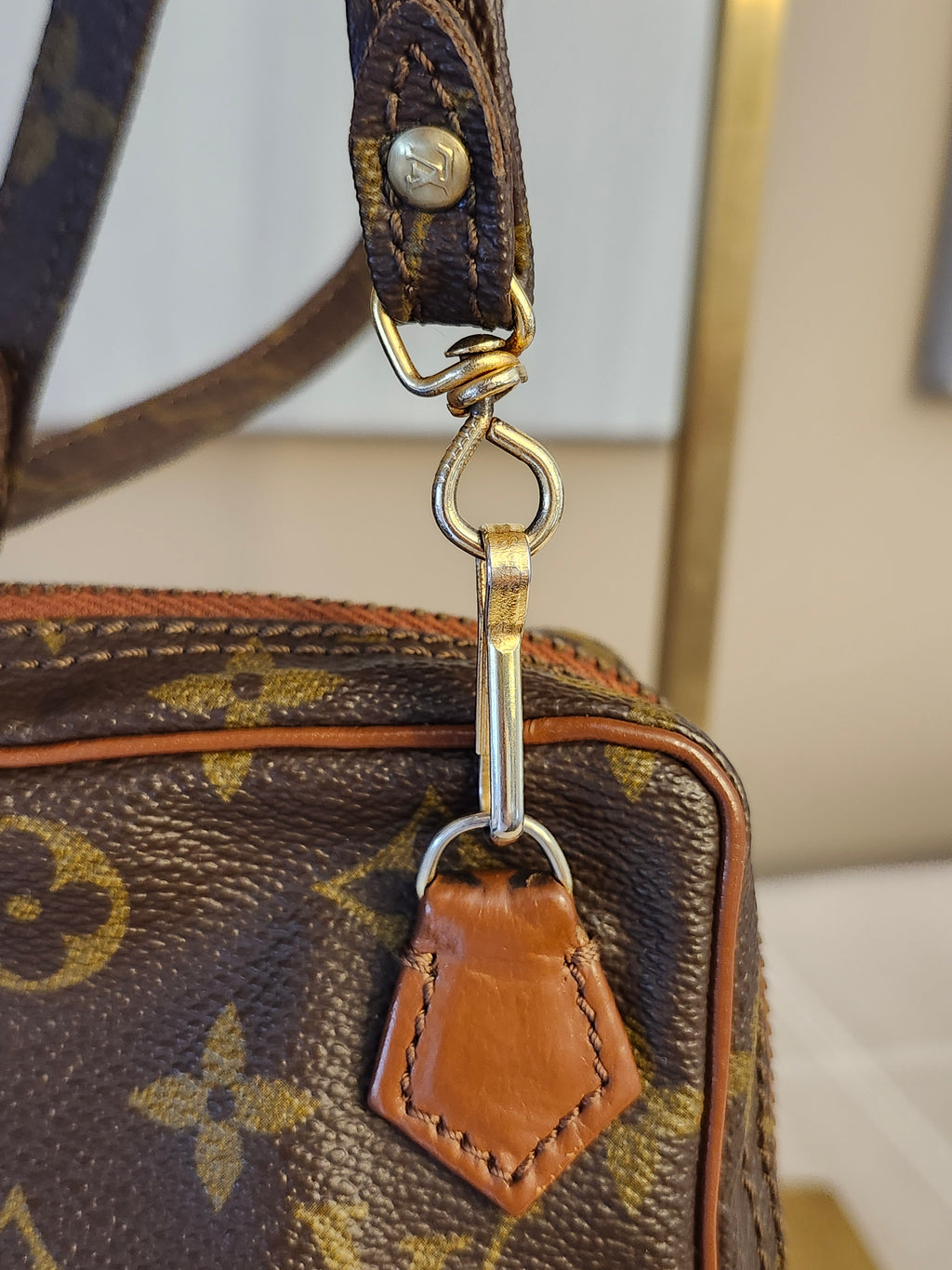 Louis Vuitton Brown Monogram Mini Amazon Bag