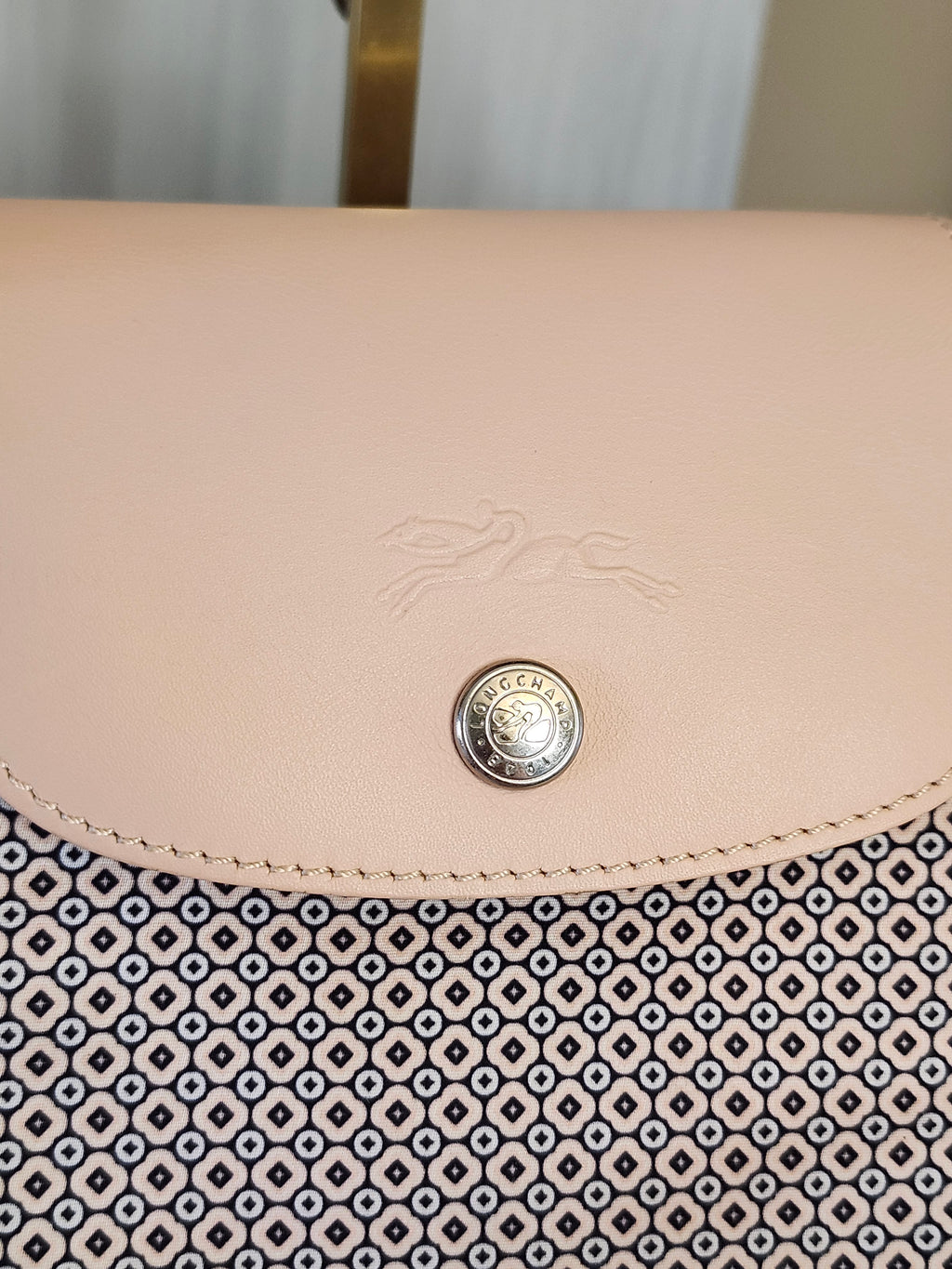 Longchamp Le Pliage Limited Edition Dandy Printed Large Two Way Convertible Top Handle Tote Bag
