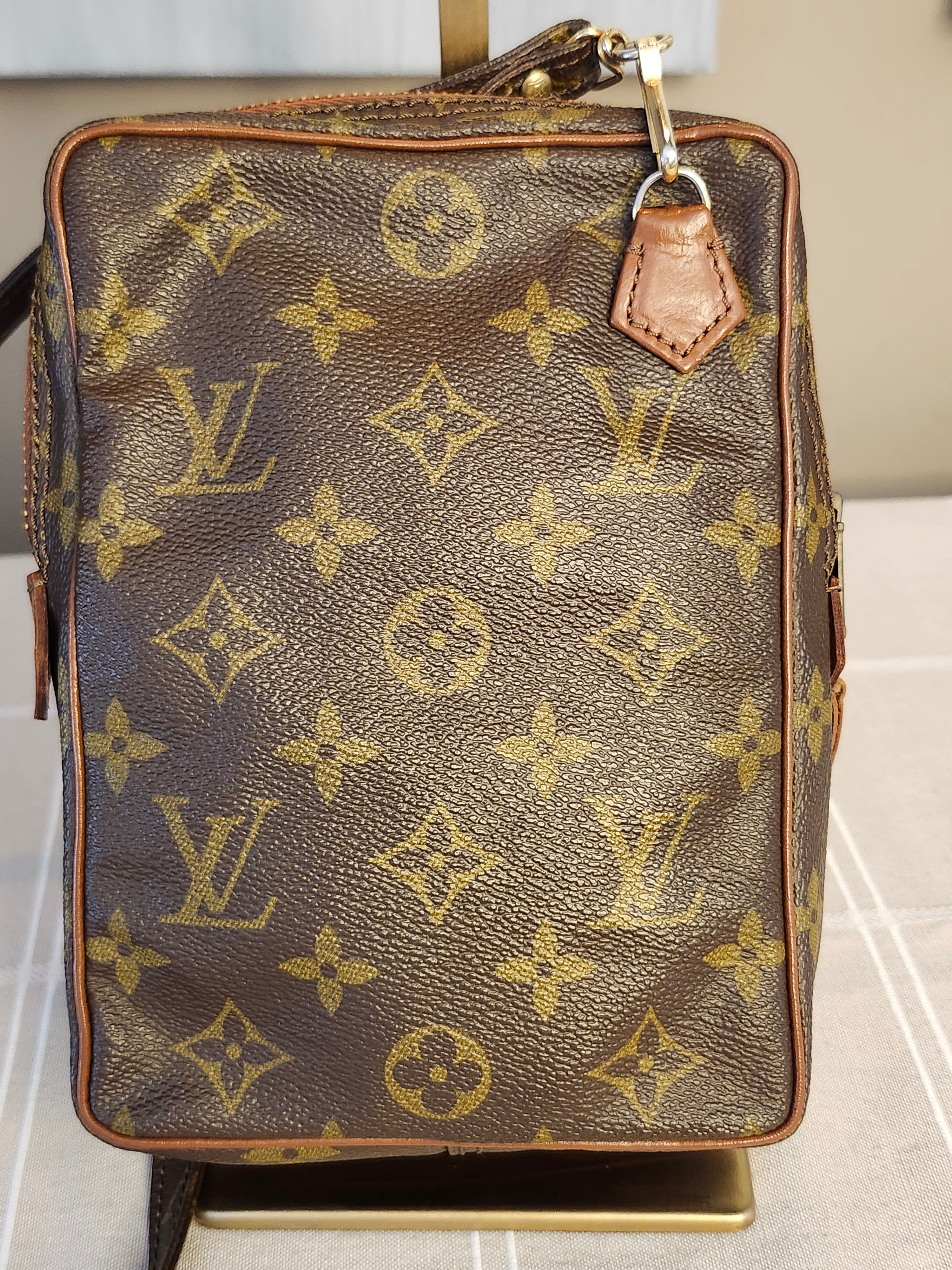 Louis Vuitton Brown Monogram Mini Amazon Bag