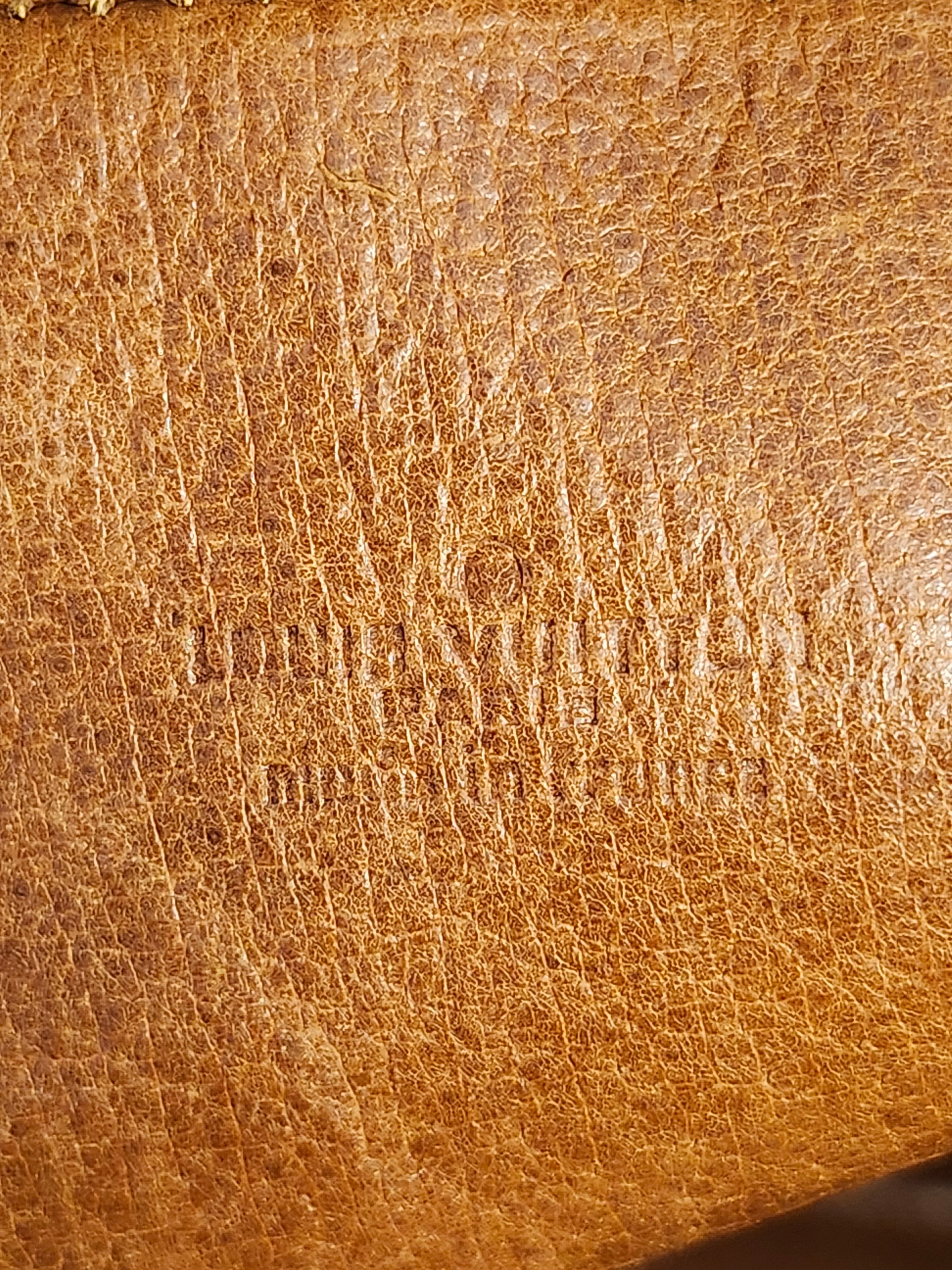Louis Vuitton Brown Monogram Mini Amazon Bag
